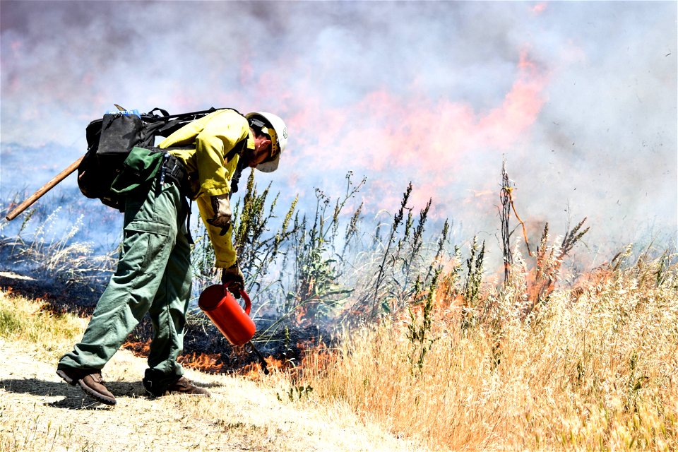 BLM’s Folsom Lake Veterans Crew perform RX Burn at Cosumnes River Preserve restoring critical habitat. photo