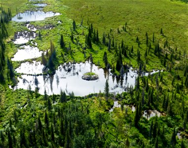 Yukon Delta NWR Wetlands photo