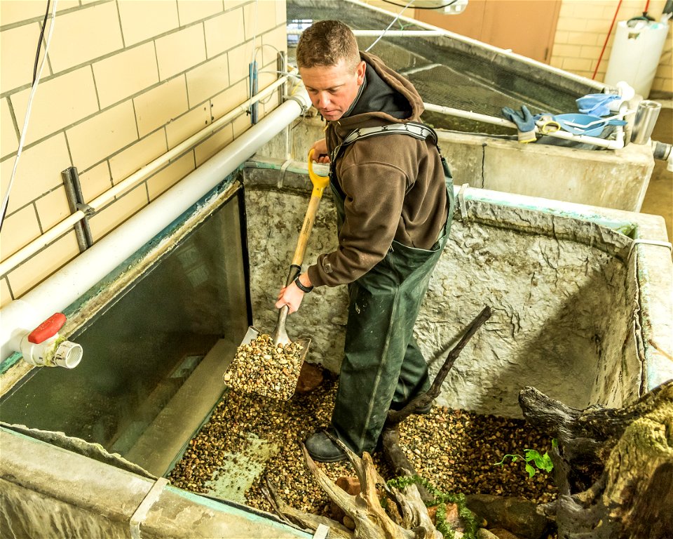 Off-season Aquarium Cleanout