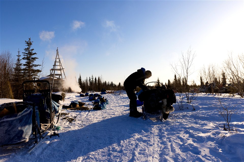 Kobuk 440 racers at Paniqsigvik shelter cabin.