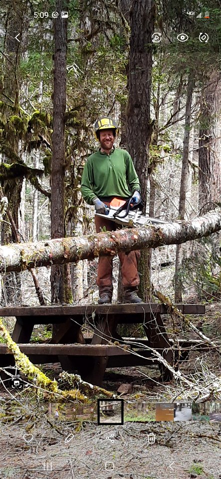 Campground preparation - Removing Danger Trees on the Umpqua National Forest