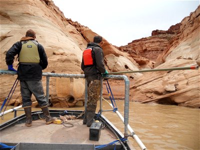 Stocking Sonic-Tagged Fish in Lake Powell photo