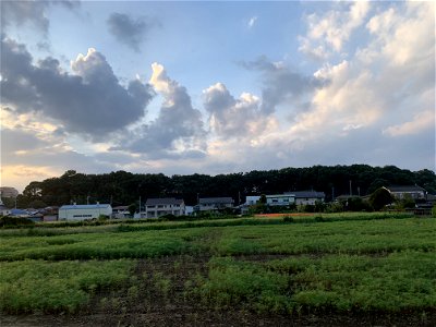 Hongo in Tokorozawa-shi