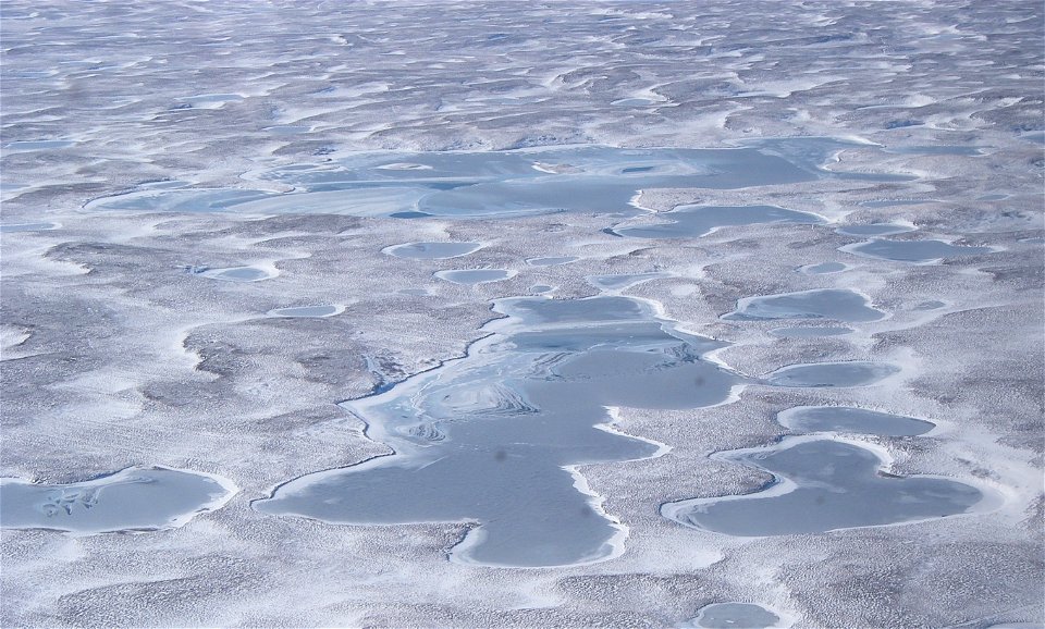 Izembek Wilderness