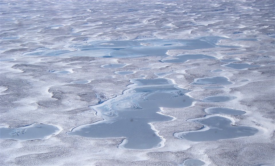 Izembek Wilderness photo