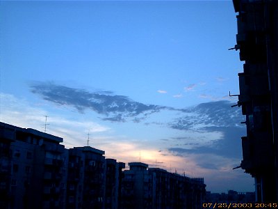 apus-caleavitan2003_0729_081724_17147473569_o