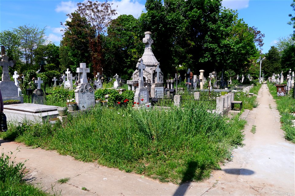 Sfanta-Vineri_cemtery- (18)