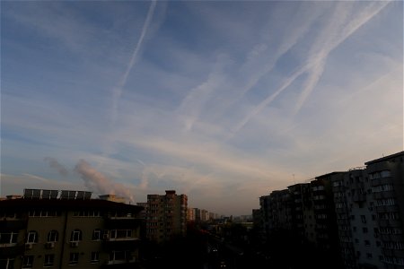 IMG_7545