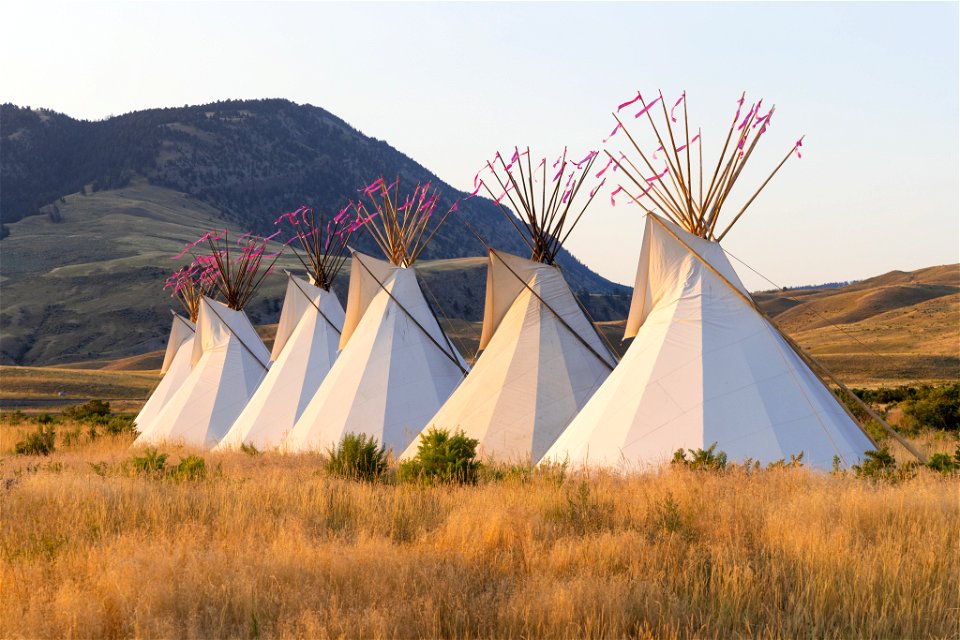 Yellowstone Revealed: North Entrance teepees at sunrise (6) photo