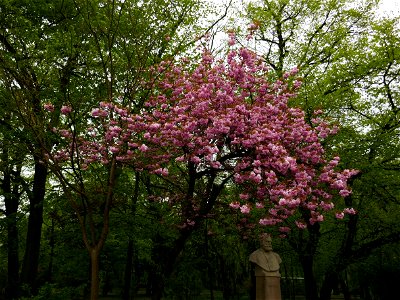 Herestrau Park in spring (72)
