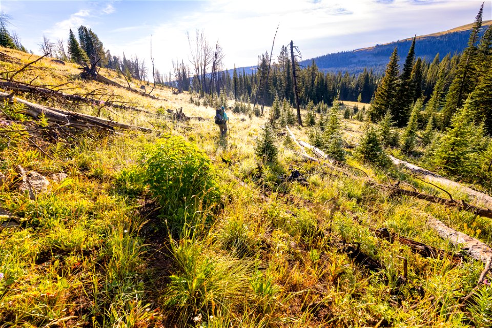 Hiking the Fawn Pass Trail, east of the pass