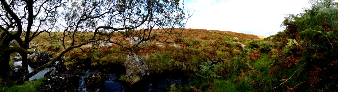 IMG_20220920_140704 Plym Ford, Dartmoor National Park , Devon , UK.  Nokia Panoramic Photo , 20th Sept 2022