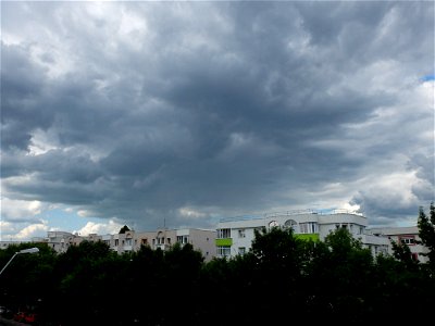 nori-sediu2015_0526_164849