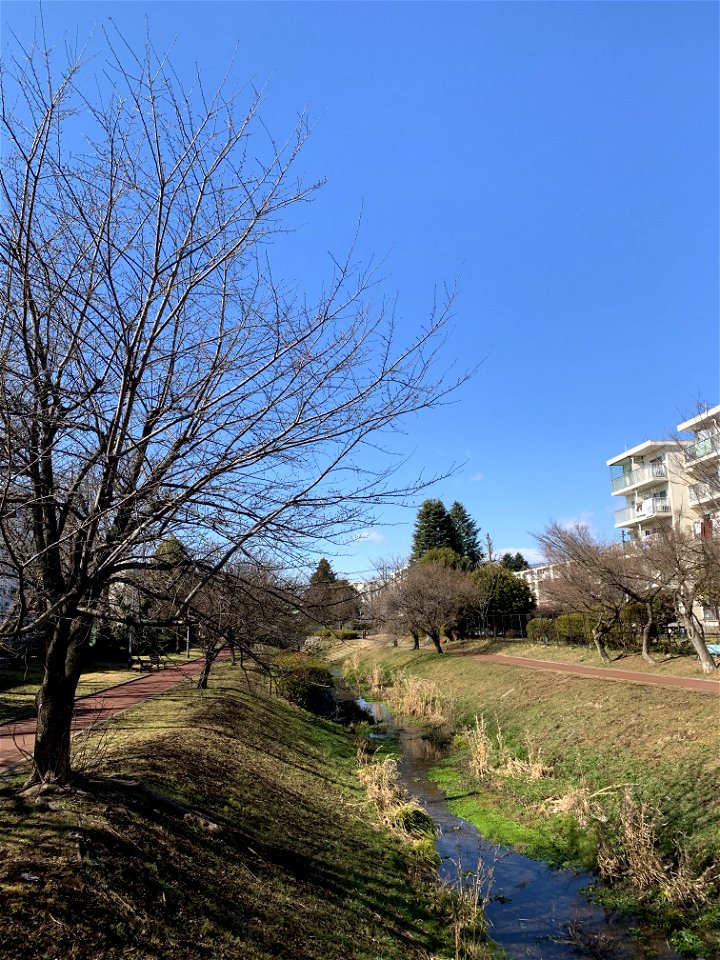 Kurome River in Shinyama Waterside Plaza, Higashikurume-shi