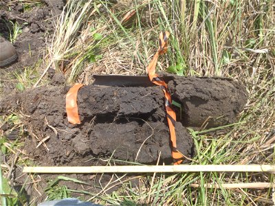 soil profile NWCA11-2044 photo