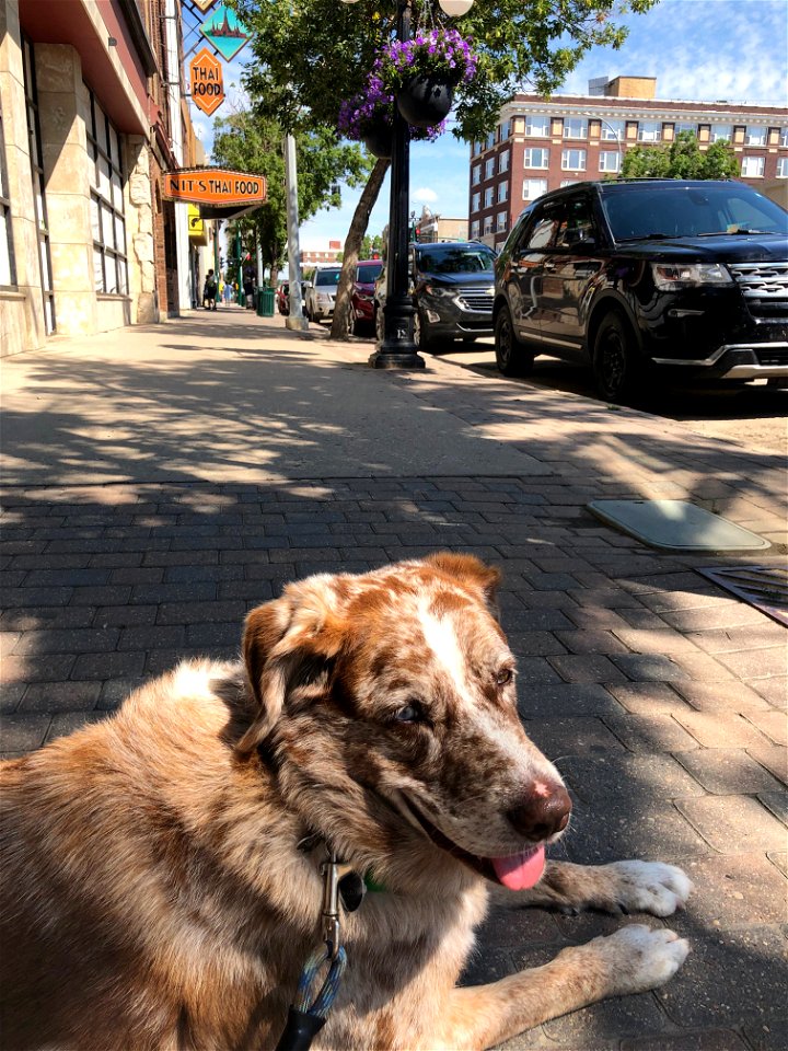 On the Streets of Moose Jaw