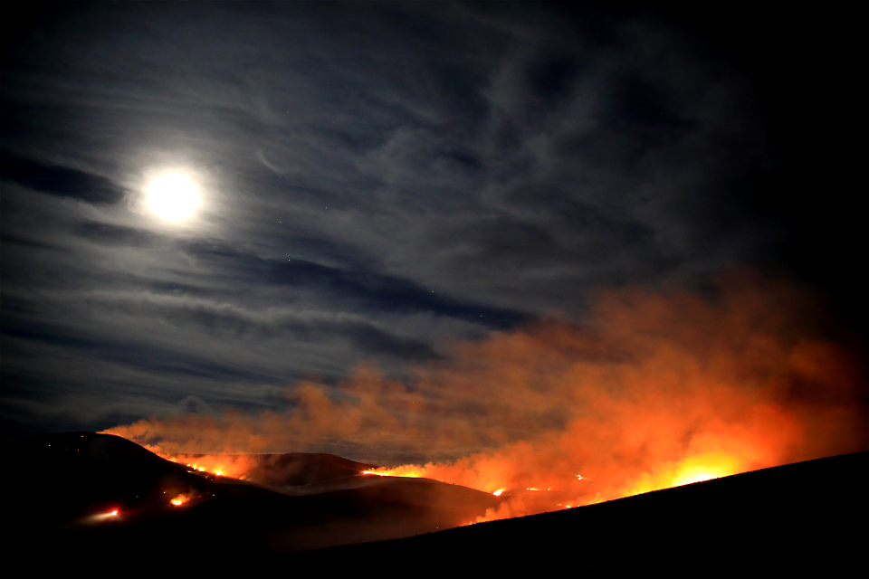 Ross Fork Fire