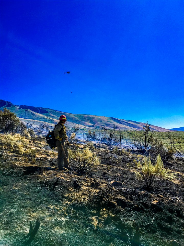 Aircraft Category - USFWS 2022 Photo/Video Contest