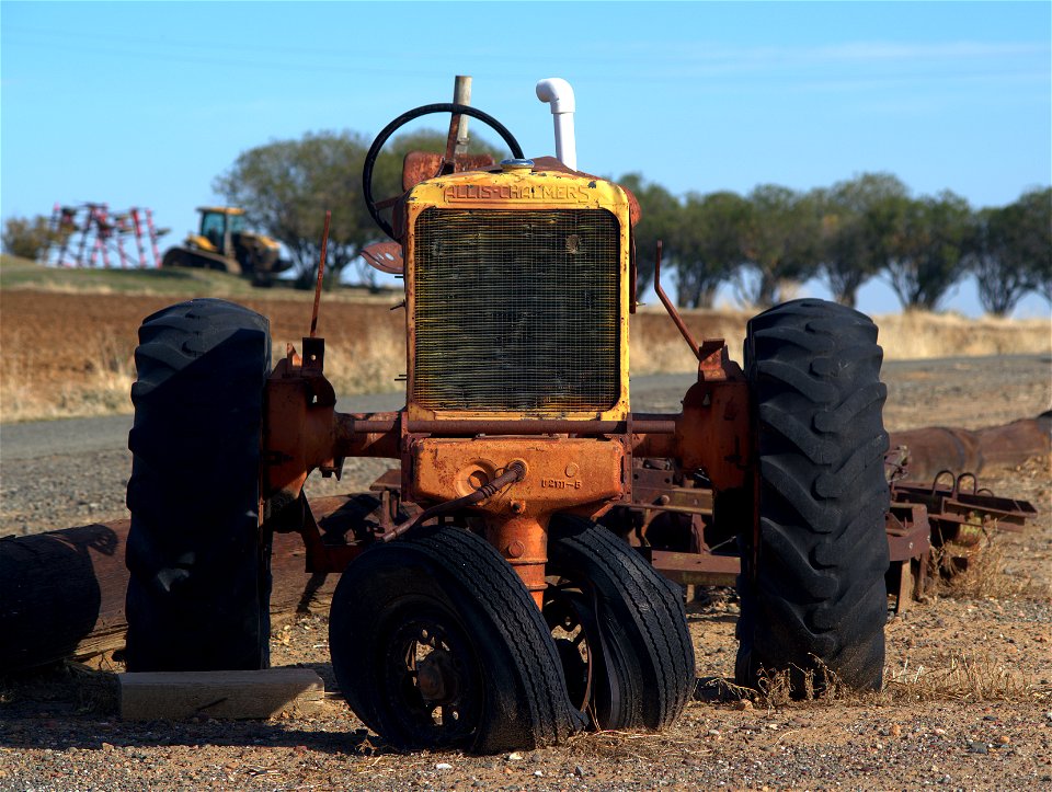 Put out to Pasture