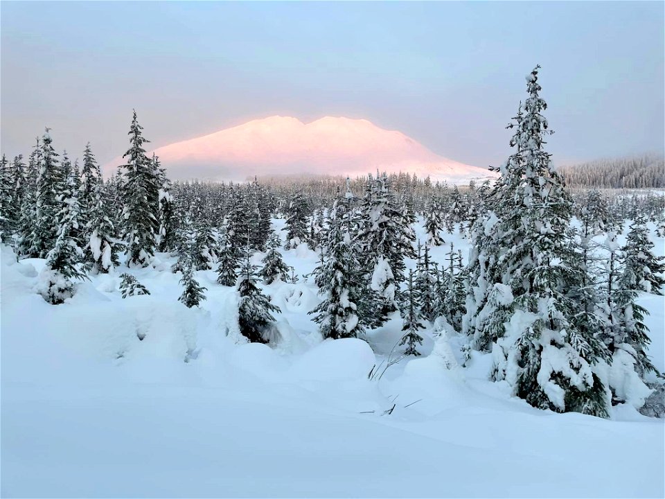 20211219-Marble Mountain Sno-Park area. Photo by Back Country Plowing and Grooming.