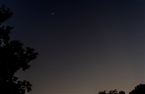 Day 165 - Waxing Crescent Moon and Venus