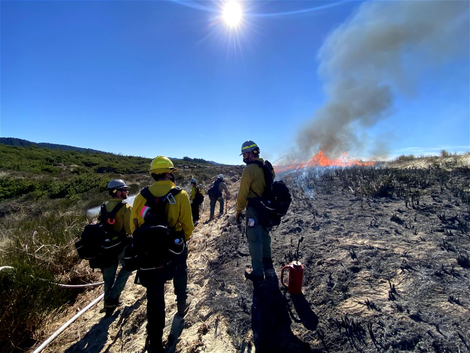 Siuslaw Oregon Dunes Prescribed Burn 2022 photo