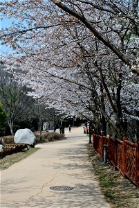 Younginsan Park Spring 2023