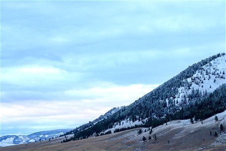 Dusting of snow on the National Elk Refuge photo
