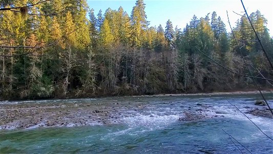 Sauk River near confluence with Clear Creek, Mt. Baker-Snoqualmie National Forest. Video by Anne Vassar December 3, 2020.