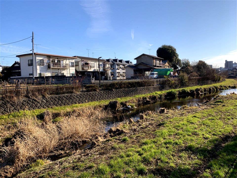 Kurome River in Koyama, Higashikurume-shi