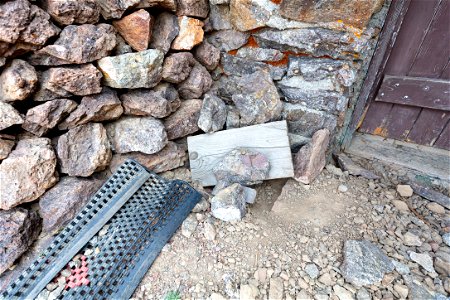 Mt. Sheridan Fire Lookout basement, rodent dig photo