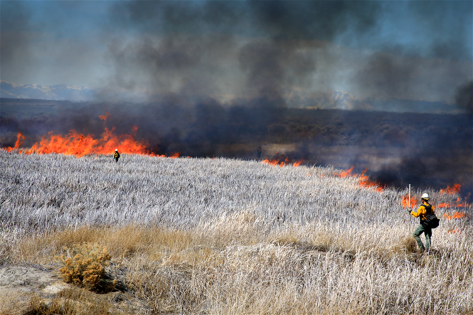 Market Lake Prescribed Fire photo