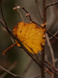 20211012-FS-Superior-SAR-008