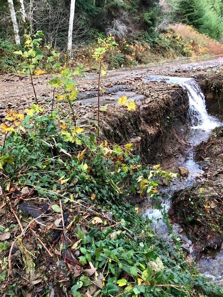 Flood Road Damage Forest Road 29 mile post  3.0