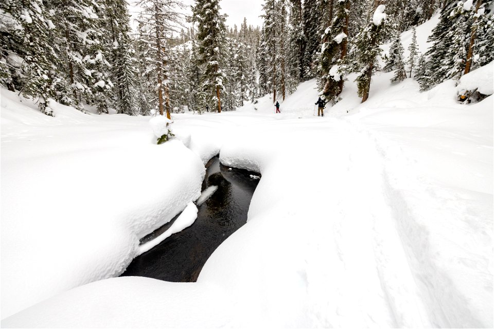 Views along the Spring Creek Ski Trail (3)