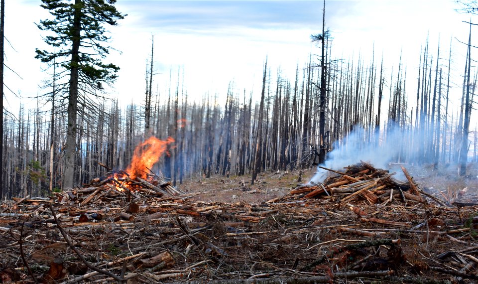 Pile burning on the Mt. Hood National Forest in 2019 - winter photo