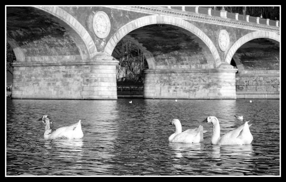 Near to the bridge