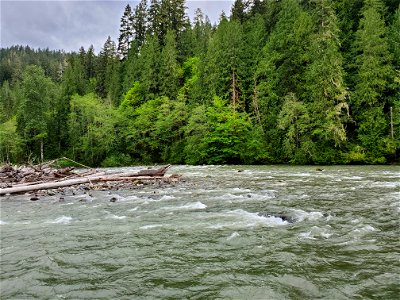 Springtime Sauk River near Darrington, Mt. Baker-Snoqualmie National Forest. Photo by Anne Vassar May 17, 2021.