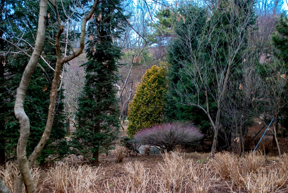 Hantaek Botanical Garden