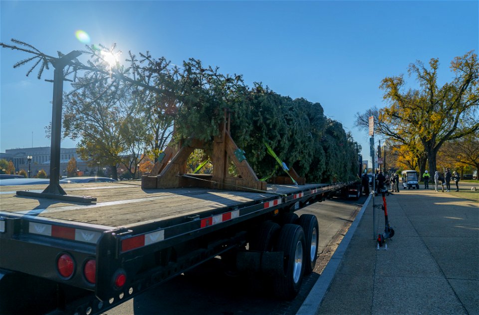 CapitolXmasTree-WashingtonDC-004