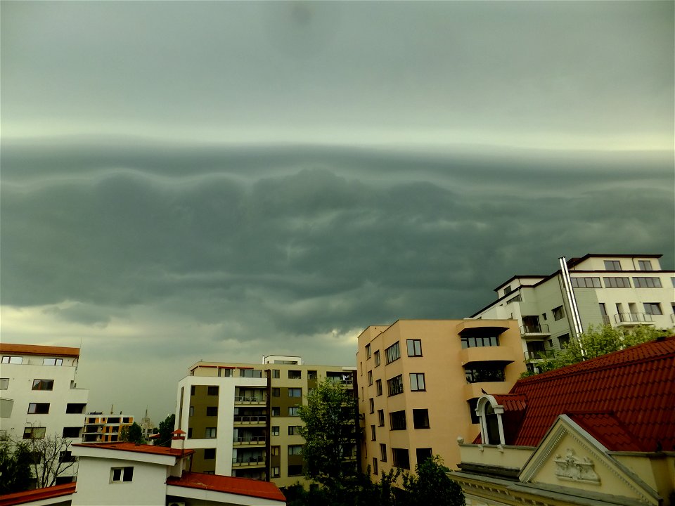 nori-sediu2015_0507_075250
