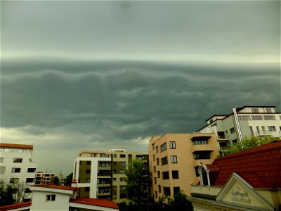 nori-sediu2015_0507_075250