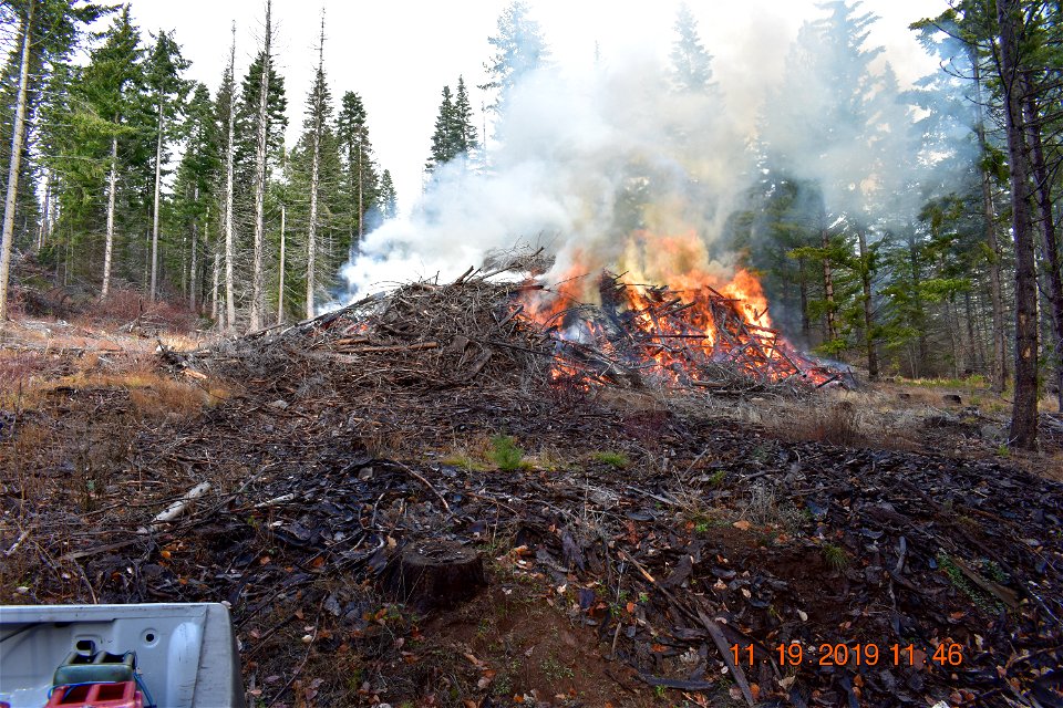 Pile burning smoke on the Mt. Hood National Forest in 2019 - single pile
