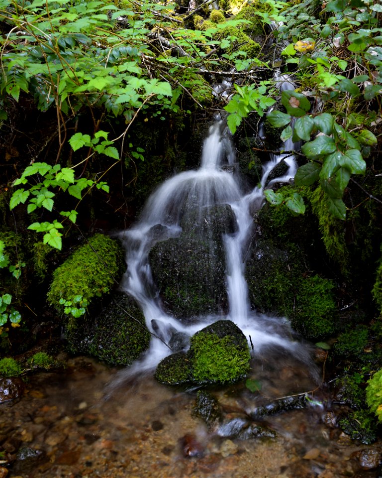 untitled-1328jpg_49364667582_o