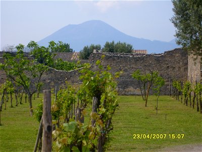 200704_0349