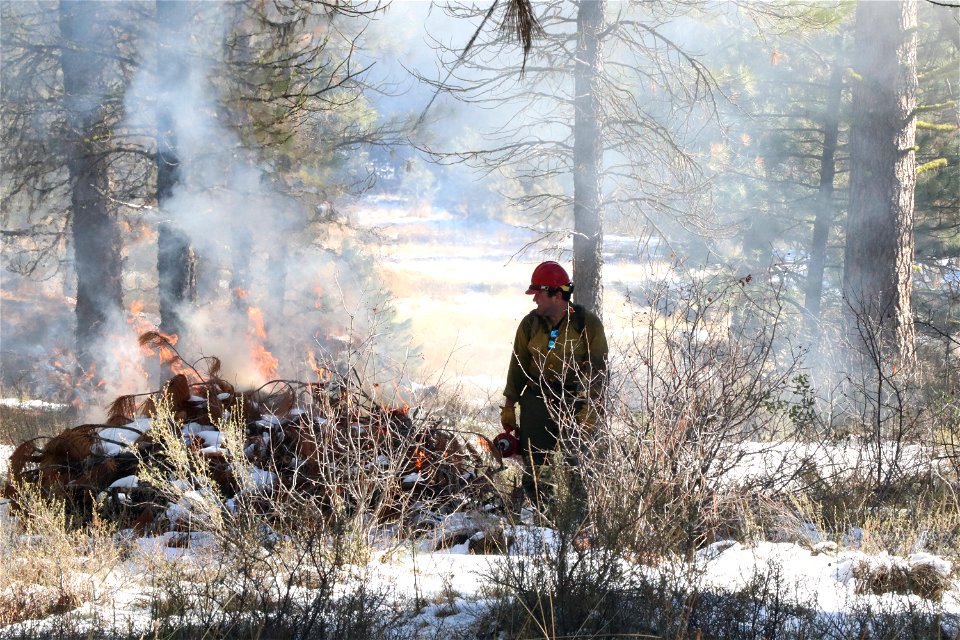 Charcoal Gulch Pile Burn, Idaho City photo