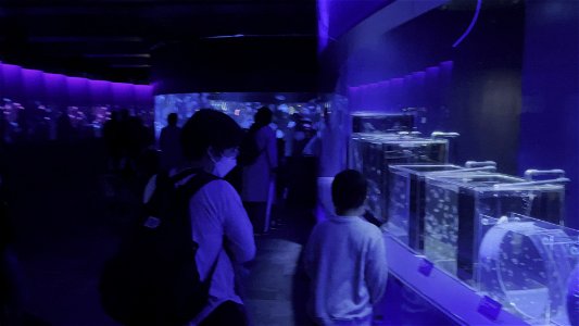 京都水族館 / Kyoto Aquarium