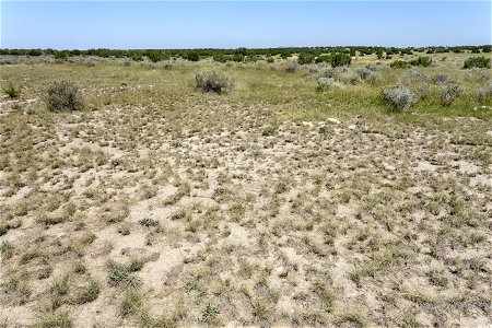 Southwest of Pino Mountain