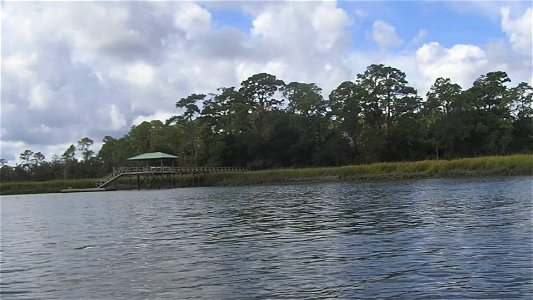 Dolphin-P9150191_Trim