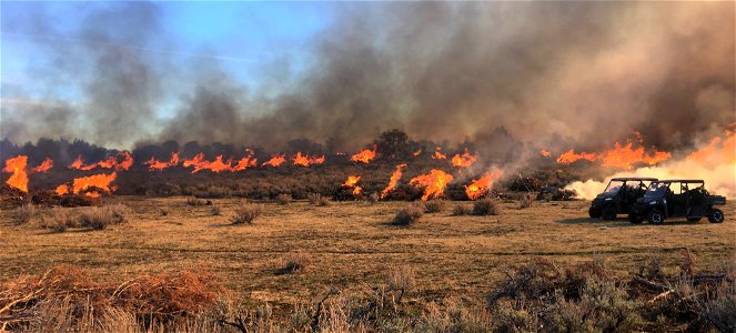 Applegate Prescribed burn photo